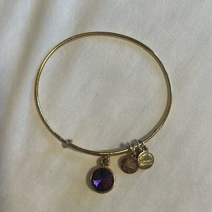 February / Amethyst Alex & Ani bracelet